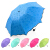 超大型セイズの女性傘日傘黒ゴムの日よ傘折りたたたみ傘供用紫外線防止傘と水に合わせて花が咲いています。8骨のハスの葉のサイドップ（1-2人使用）