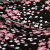 パソルフル遮光(UPS 50+)変色フラッシュ黒ジェル三折晴雨兼用傘31851 E桜パウダー