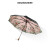 カナの下にあるアランダナの黒い傘二重の大花19新型晴雨両用の日よけ傘の女性焦下19新型-絵春