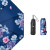 バーナの下でBAANAUNDERパラソル女性紫外线対策折りたみみ伞晴雨兼用ミニコ傘シリズ