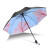 雨の宝女史の傘は折りたたみ畳です。晴雨の両用の日傘の女性版の小さい清新な小さい。黒いゴムの傘の美少女の日よけの傘の女性の心良の学生の日よ。